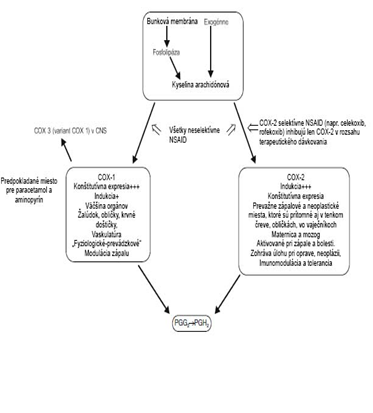 Mechanizmus účinku